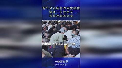 缅北诈骗犯爆料视频大全,视频爆料揭露罪恶全貌  第1张
