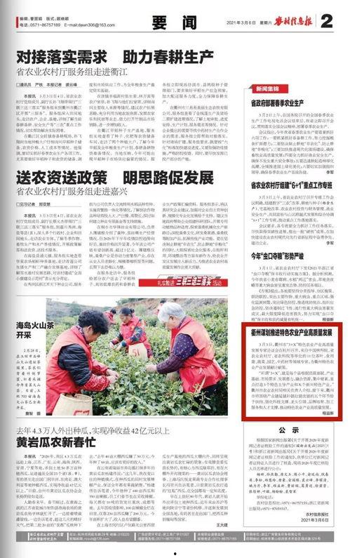 沙河村最新爆料新闻报道,揭秘村庄背后惊人真相 第1张 沙河村最新爆料新闻报道,揭秘村庄背后惊人真相 第1张